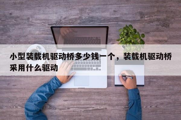 小型裝載機驅動橋多少錢一個，裝載機驅動橋采用什么驅動