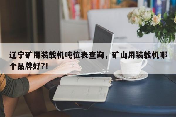 遼寧礦用裝載機(jī)噸位表查詢，礦山用裝載機(jī)哪個(gè)品牌好?！