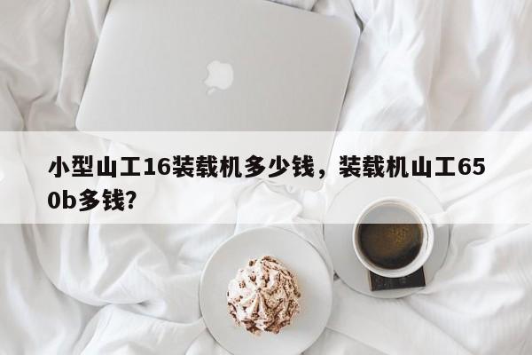 小型山工16裝載機多少錢，裝載機山工650b多錢？