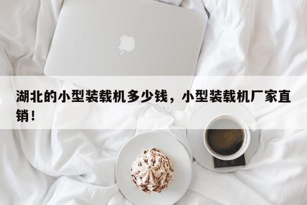 湖北的小型裝載機(jī)多少錢，小型裝載機(jī)廠家直銷！