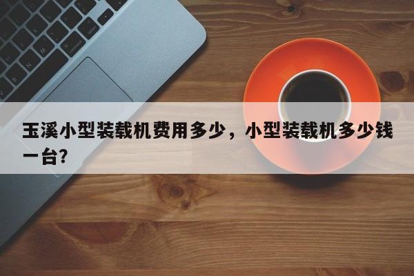玉溪小型裝載機(jī)費(fèi)用多少，小型裝載機(jī)多少錢一臺(tái)？