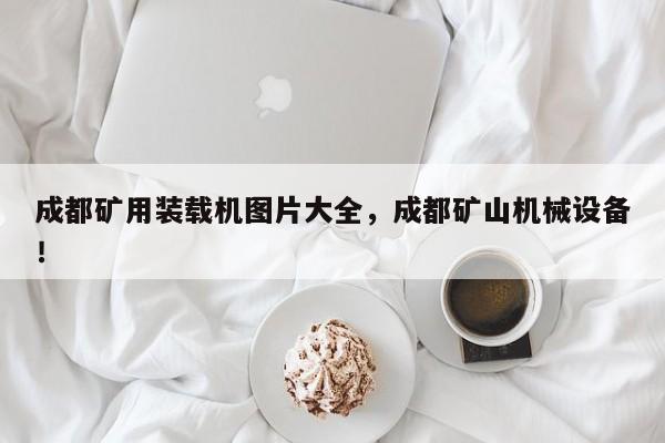 成都礦用裝載機(jī)圖片大全，成都礦山機(jī)械設(shè)備！