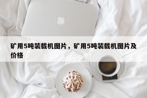 礦用5噸裝載機(jī)圖片，礦用5噸裝載機(jī)圖片及價(jià)格