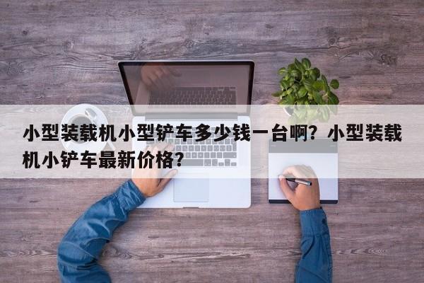 小型裝載機(jī)小型鏟車多少錢一臺(tái)啊？小型裝載機(jī)小鏟車最新價(jià)格？