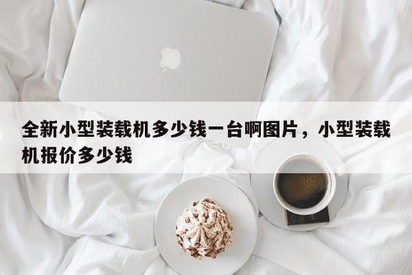 全新小型裝載機(jī)多少錢(qián)一臺(tái)啊圖片，小型裝載機(jī)報(bào)價(jià)多少錢(qián)