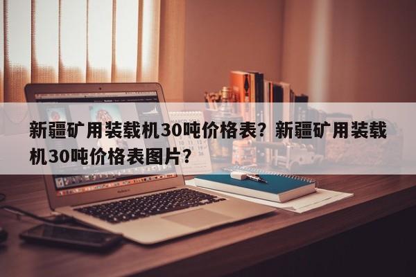 新疆礦用裝載機(jī)30噸價(jià)格表？新疆礦用裝載機(jī)30噸價(jià)格表圖片？