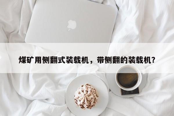 煤礦用側(cè)翻式裝載機，帶側(cè)翻的裝載機？