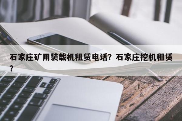 石家莊礦用裝載機租賃電話？石家莊挖機租賃？