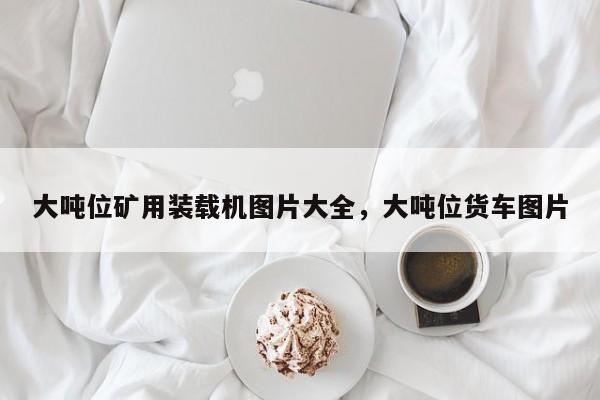 大噸位礦用裝載機(jī)圖片大全，大噸位貨車(chē)圖片