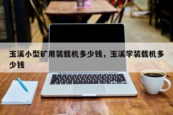 玉溪小型礦用裝載機(jī)多少錢，玉溪學(xué)裝載機(jī)多少錢