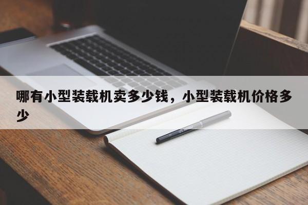 哪有小型裝載機(jī)賣多少錢，小型裝載機(jī)價(jià)格多少