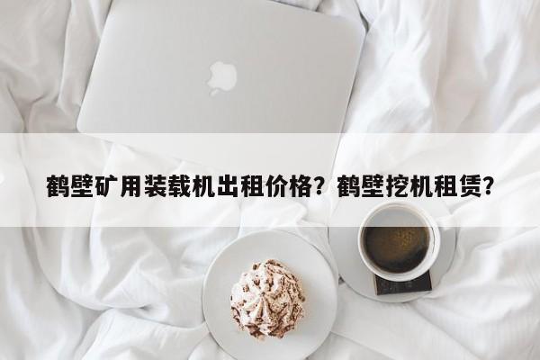 鶴壁礦用裝載機出租價格？鶴壁挖機租賃？