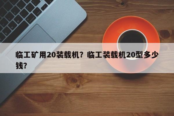 臨工礦用20裝載機(jī)？臨工裝載機(jī)20型多少錢？