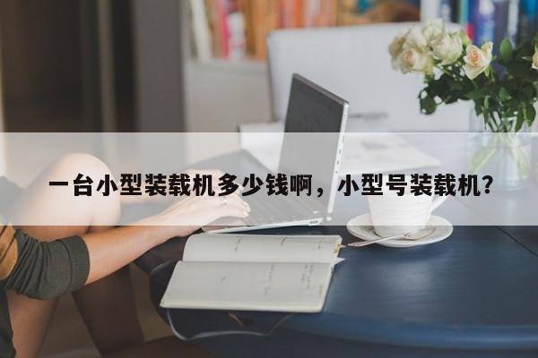 一臺(tái)小型裝載機(jī)多少錢(qián)啊，小型號(hào)裝載機(jī)？