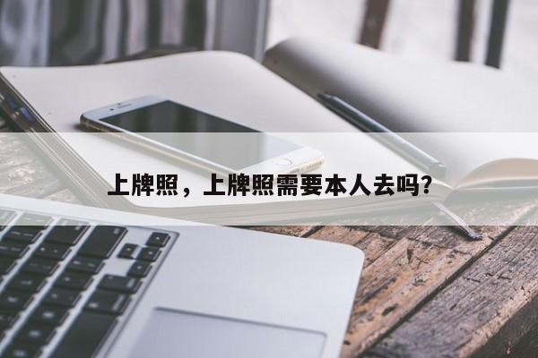 上牌照，上牌照需要本人去嗎？
