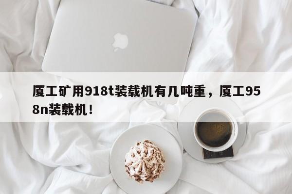 廈工礦用918t裝載機有幾噸重，廈工958n裝載機！