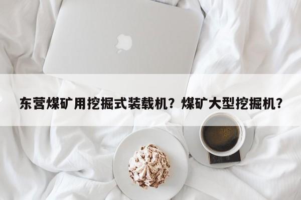 東營煤礦用挖掘式裝載機(jī)？煤礦大型挖掘機(jī)？