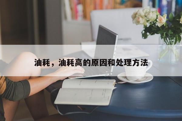 油耗，油耗高的原因和處理方法