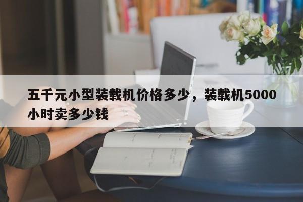 五千元小型裝載機(jī)價(jià)格多少，裝載機(jī)5000小時(shí)賣(mài)多少錢(qián)