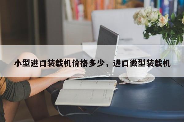 小型進(jìn)口裝載機(jī)價格多少，進(jìn)口微型裝載機(jī)
