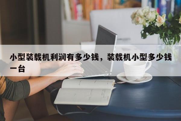 小型裝載機利潤有多少錢，裝載機小型多少錢一臺
