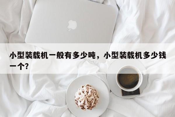 小型裝載機(jī)一般有多少噸，小型裝載機(jī)多少錢(qián)一個(gè)？