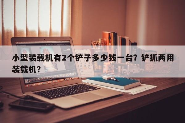 小型裝載機有2個鏟子多少錢一臺？鏟抓兩用裝載機？