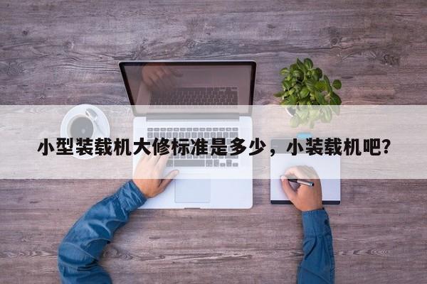 小型裝載機(jī)大修標(biāo)準(zhǔn)是多少，小裝載機(jī)吧？