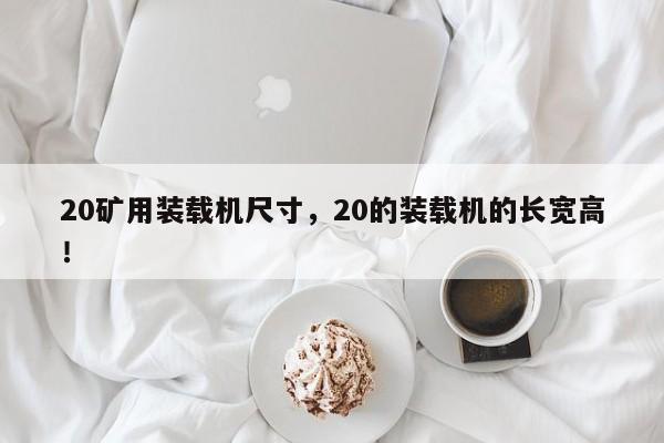 20礦用裝載機尺寸，20的裝載機的長寬高！