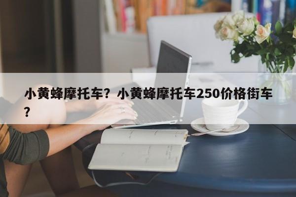 小黃蜂摩托車？小黃蜂摩托車250價格街車？