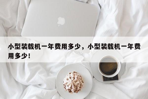 小型裝載機一年費用多少，小型裝載機一年費用多少！