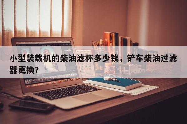 小型裝載機(jī)的柴油濾杯多少錢，鏟車柴油過(guò)濾器更換？