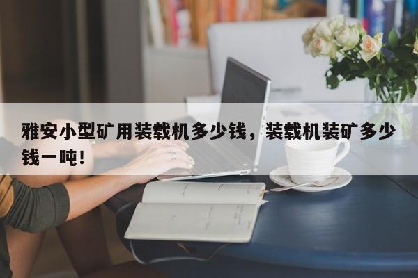 雅安小型礦用裝載機多少錢，裝載機裝礦多少錢一噸！