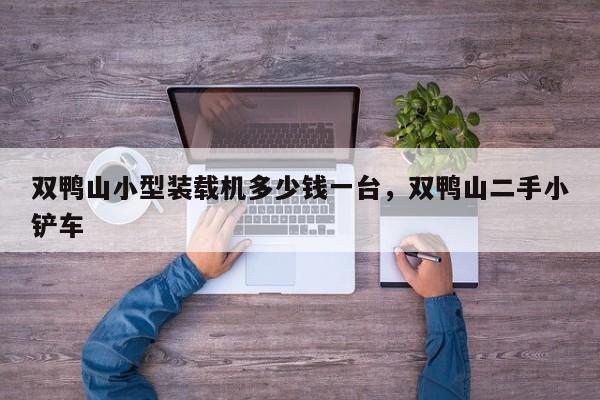 雙鴨山小型裝載機多少錢一臺，雙鴨山二手小鏟車
