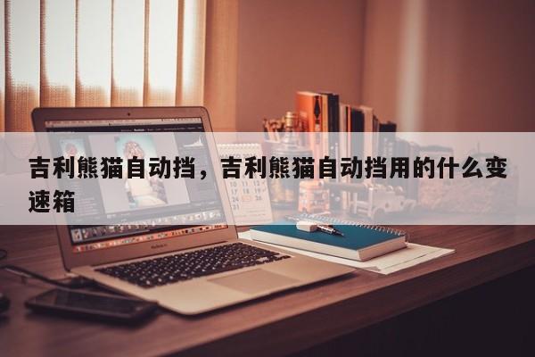 吉利熊貓自動(dòng)擋，吉利熊貓自動(dòng)擋用的什么變速箱
