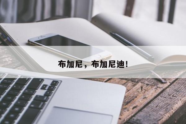 布加尼，布加尼迪！