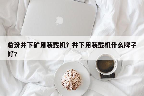 臨汾井下礦用裝載機(jī)？井下用裝載機(jī)什么牌子好？