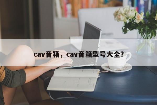 cav音箱，cav音箱型號(hào)大全？