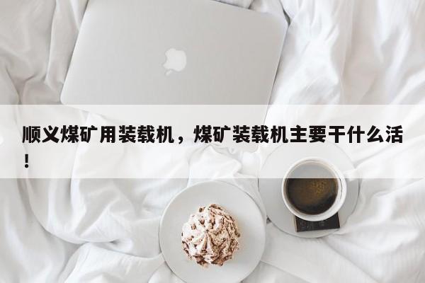 順義煤礦用裝載機，煤礦裝載機主要干什么活！