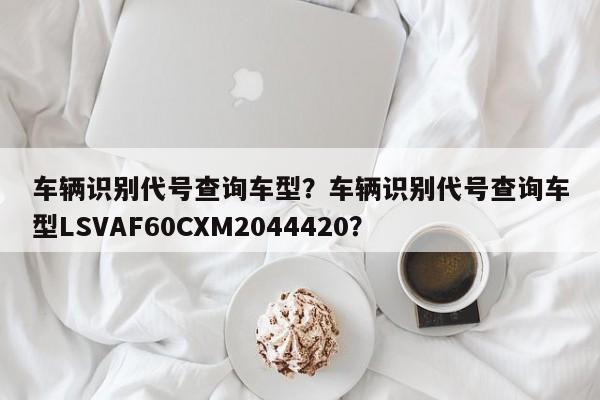 車輛識別代號查詢車型？車輛識別代號查詢車型LSVAF60CXM2044420？