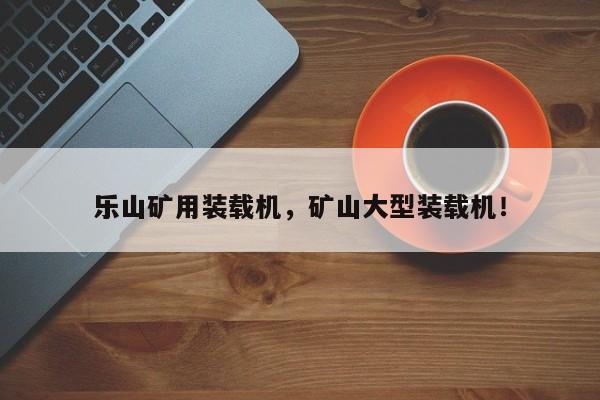 樂(lè)山礦用裝載機(jī)，礦山大型裝載機(jī)！