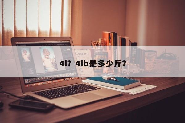 4l？4lb是多少斤？