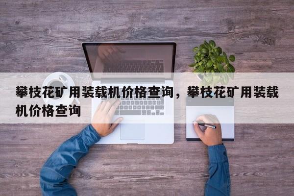 攀枝花礦用裝載機價格查詢，攀枝花礦用裝載機價格查詢