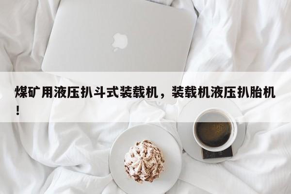 煤礦用液壓扒斗式裝載機(jī)，裝載機(jī)液壓扒胎機(jī)！