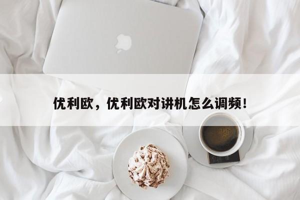 優(yōu)利歐，優(yōu)利歐對(duì)講機(jī)怎么調(diào)頻！