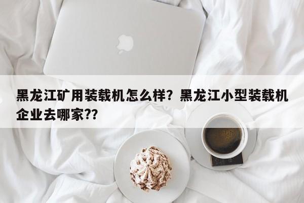 黑龍江礦用裝載機怎么樣？黑龍江小型裝載機企業(yè)去哪家?？