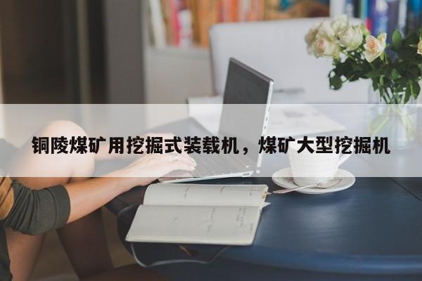 銅陵煤礦用挖掘式裝載機(jī)，煤礦大型挖掘機(jī)