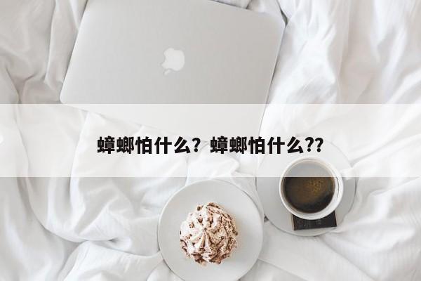 蟑螂怕什么？蟑螂怕什么?？