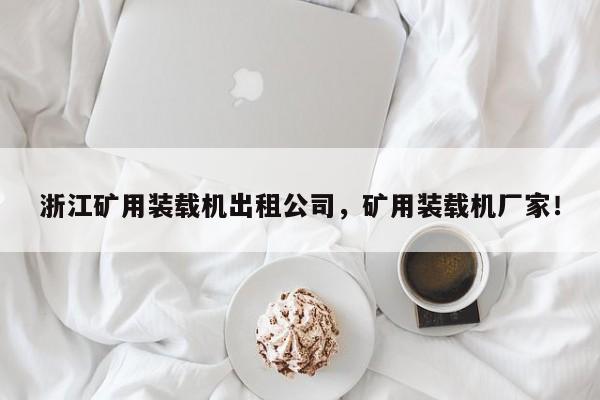 浙江礦用裝載機(jī)出租公司，礦用裝載機(jī)廠家！