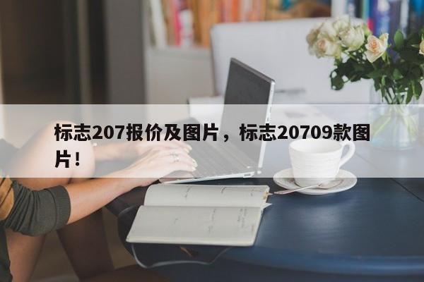 標(biāo)志207報價及圖片，標(biāo)志20709款圖片！